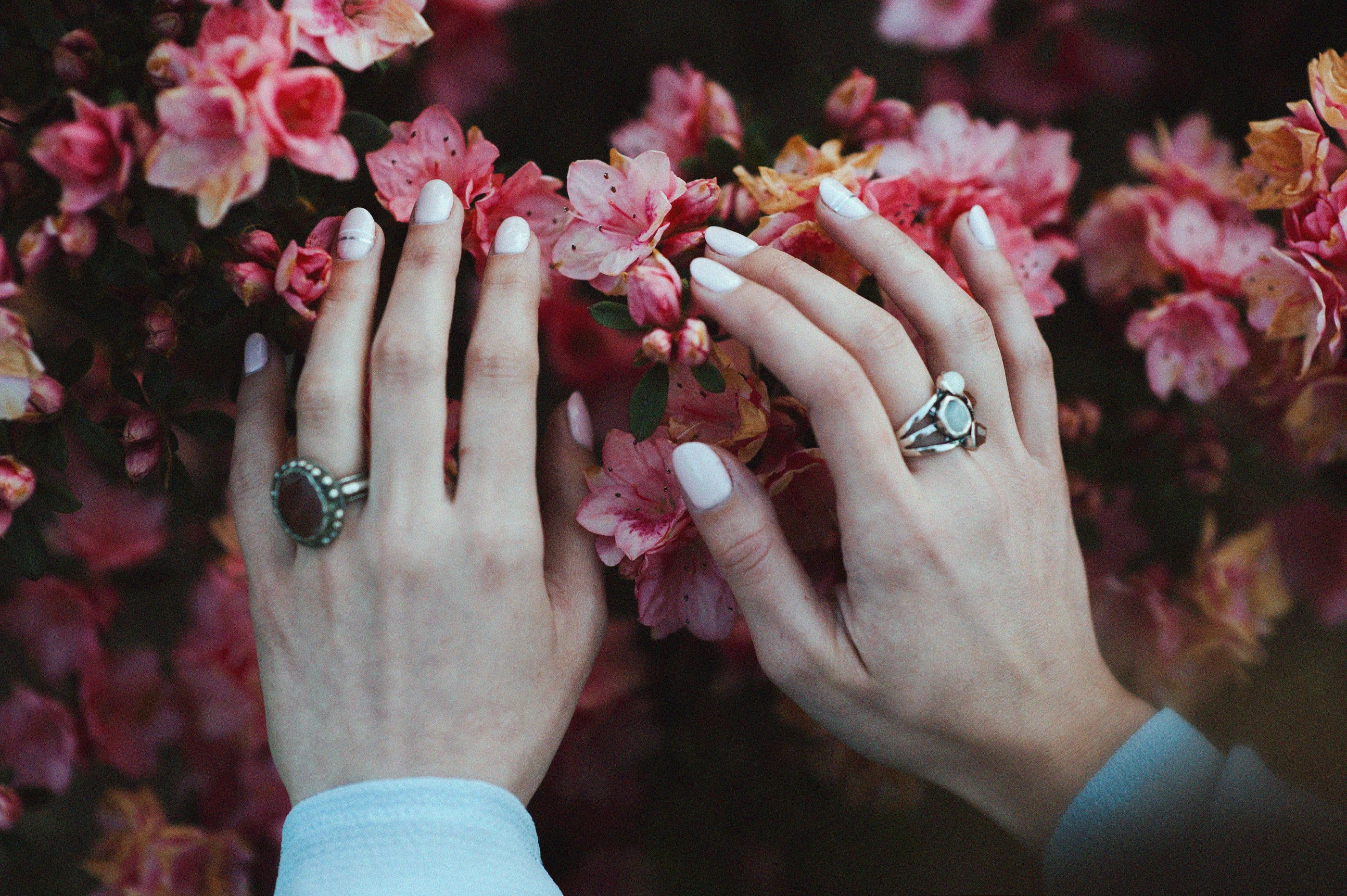 Hands with white nail polish and silver rings resting among pink blossom