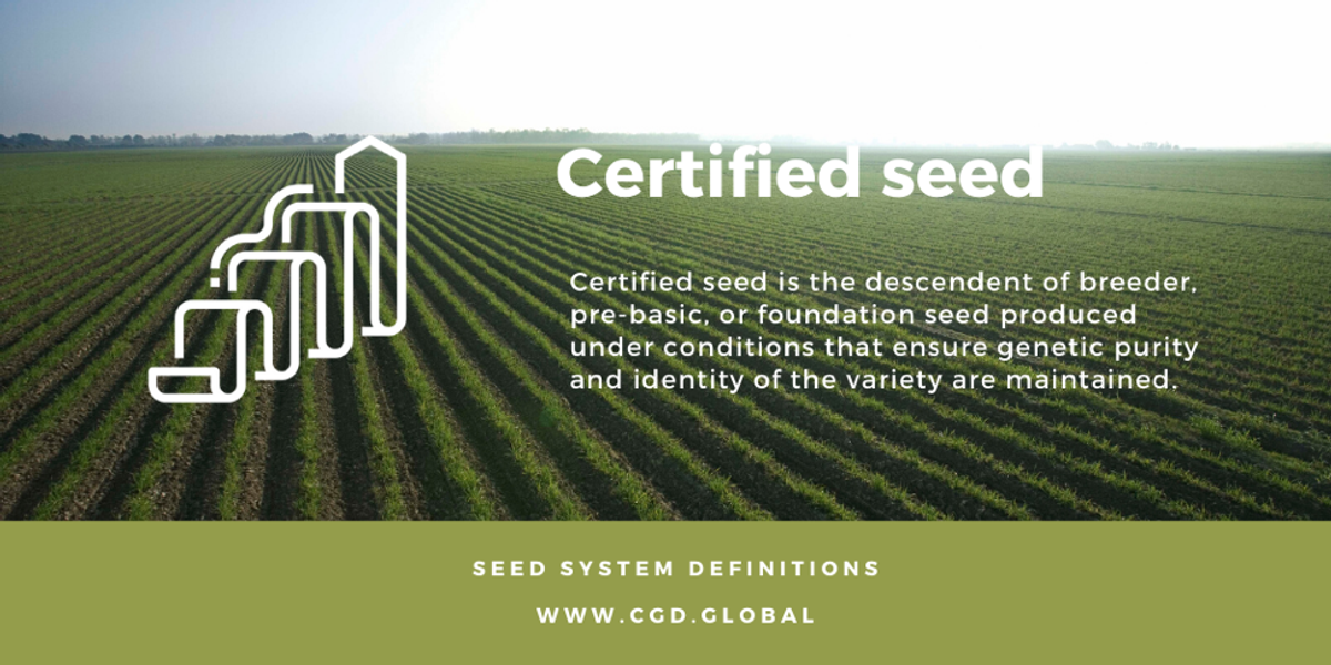 Certified Seeds