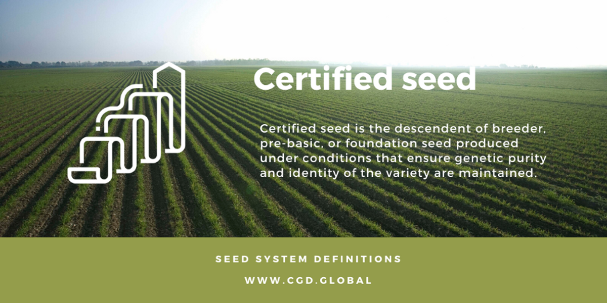 Certified Seeds