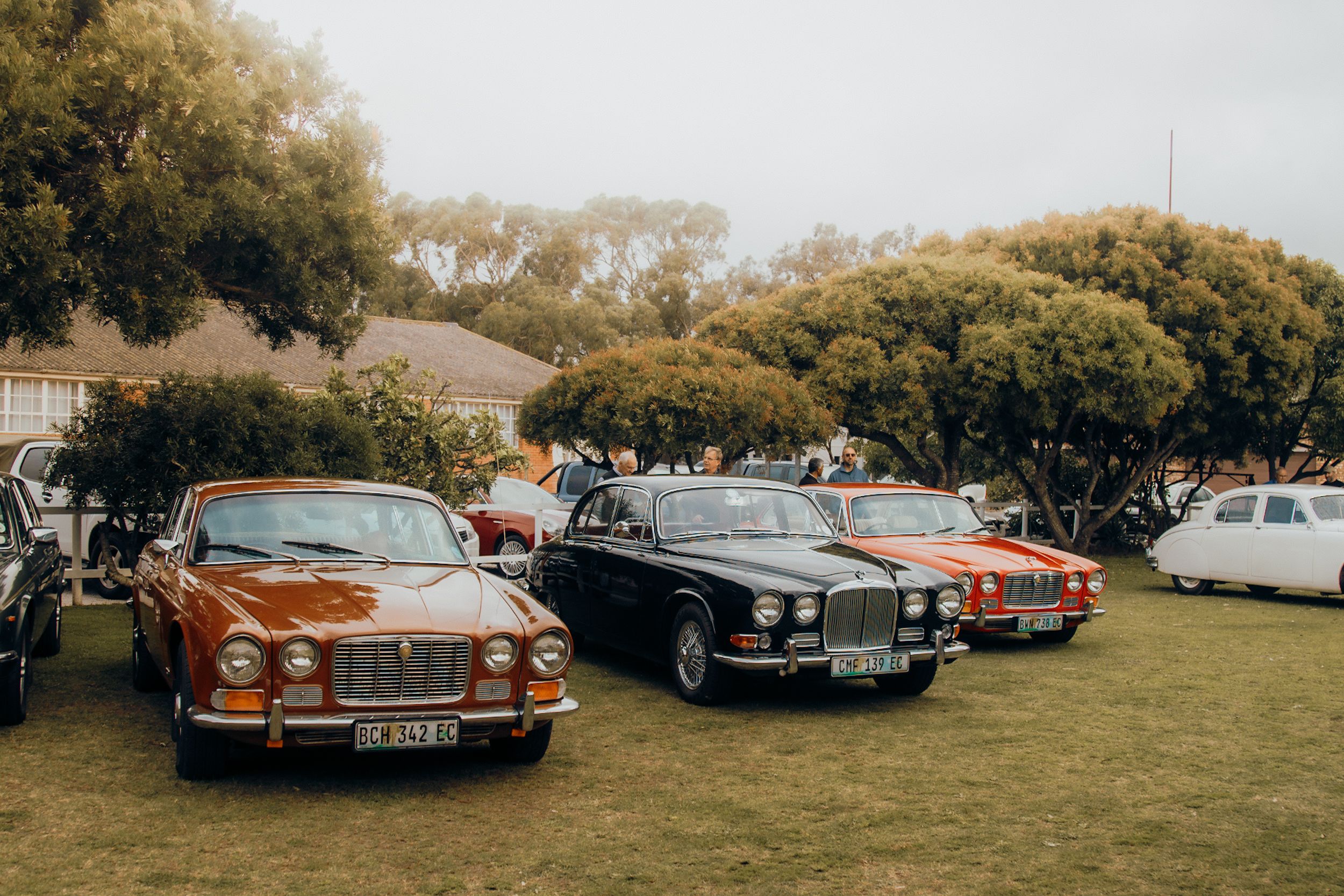 The Jaguar Display: Prepare to be Amazed by Classic Cars