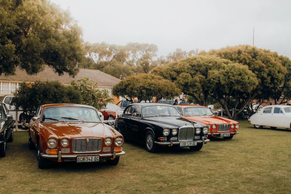 The Jaguar Display: Prepare to be Amazed by Classic Cars