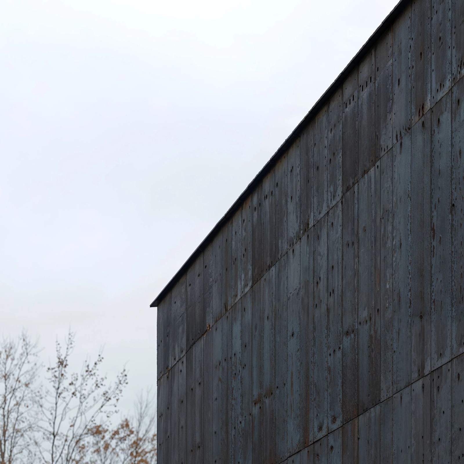 "In the Wood" - by Airstudio 2