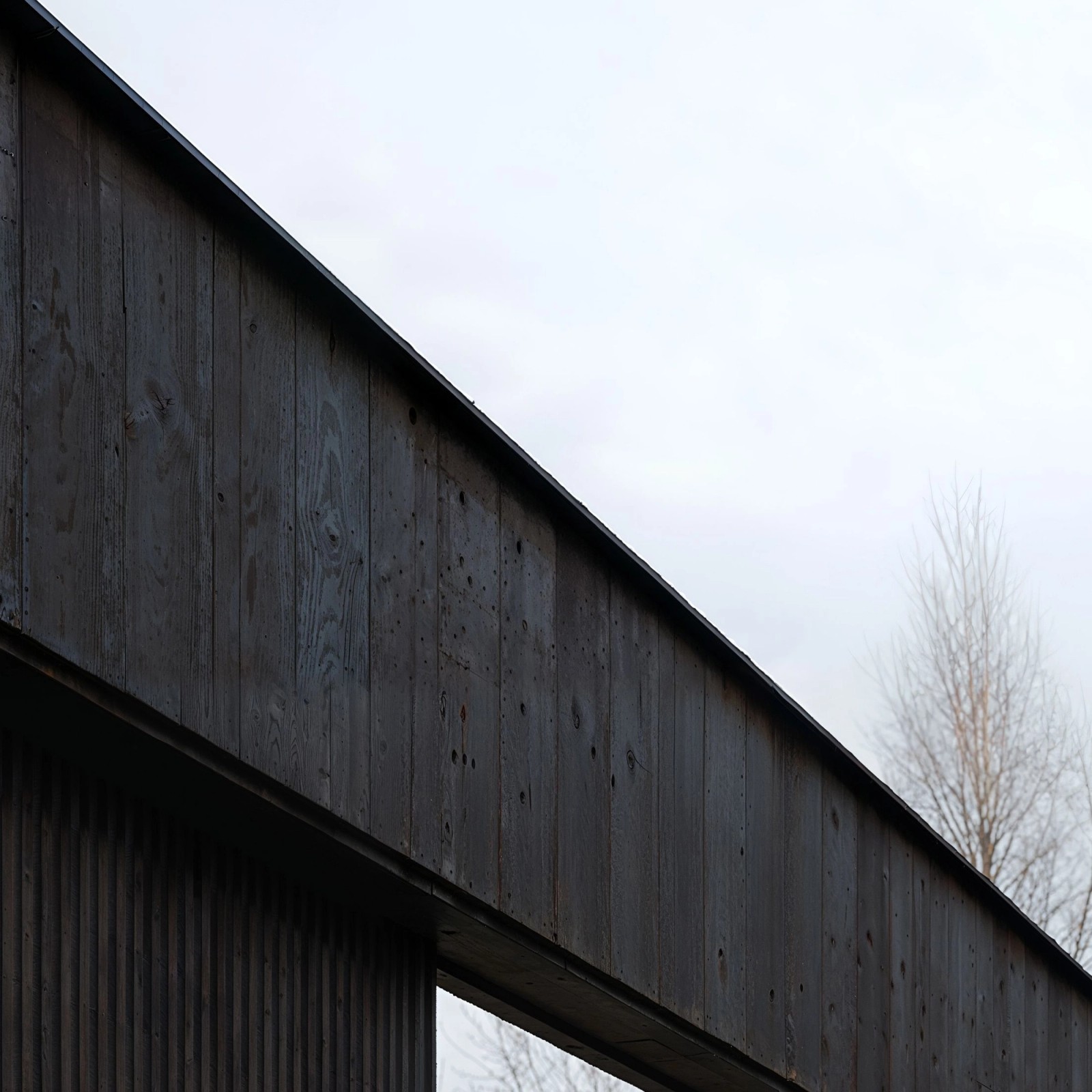 "In the Wood" - by Airstudio 1