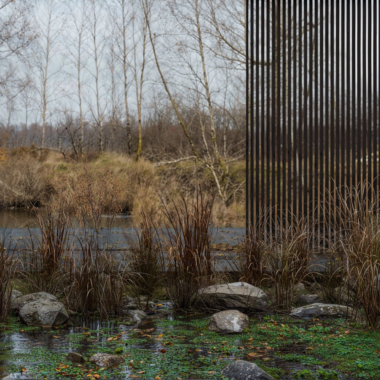 "In the Wood" - by Airstudio 2