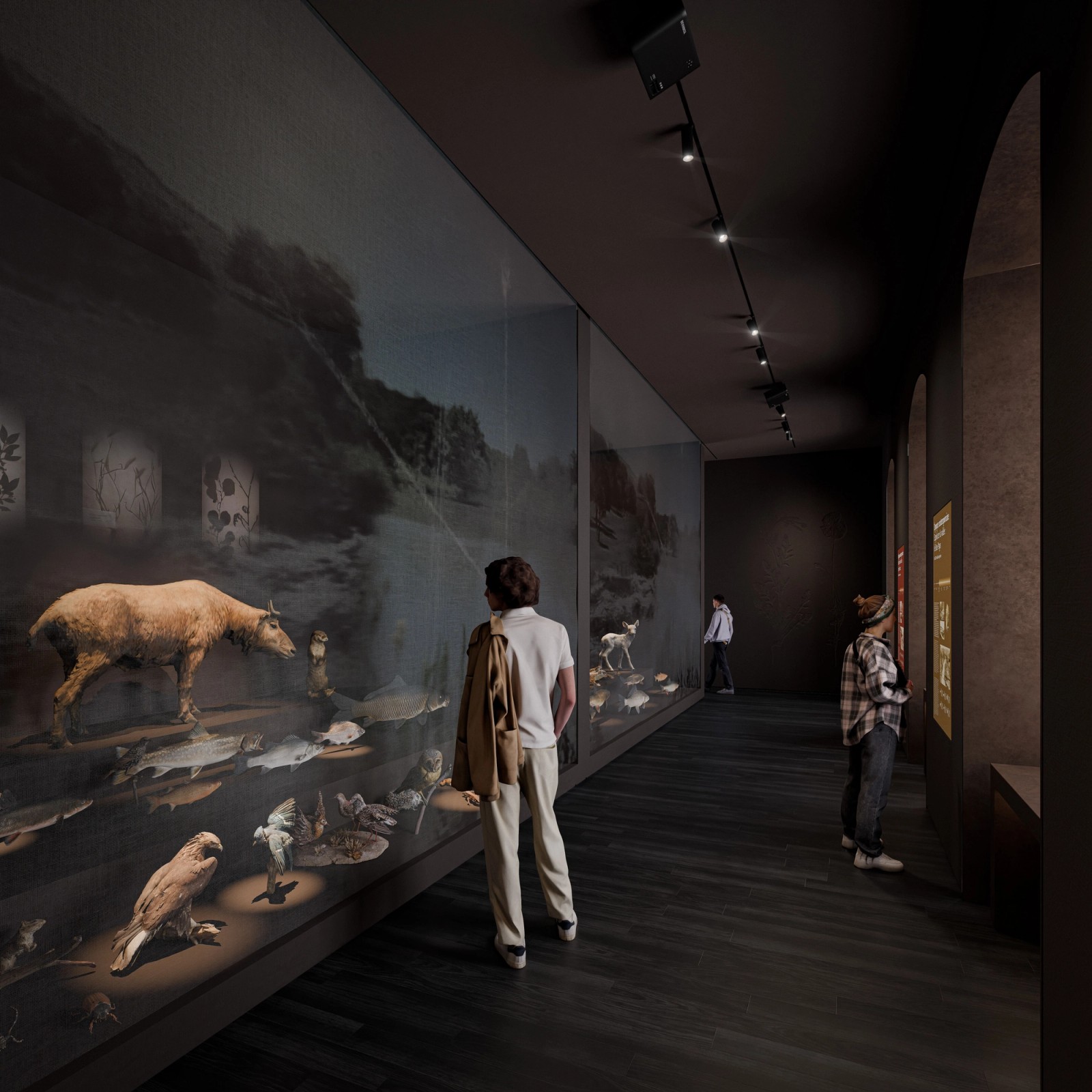 Musée du Château de Montbélliard - by Projectiles 3