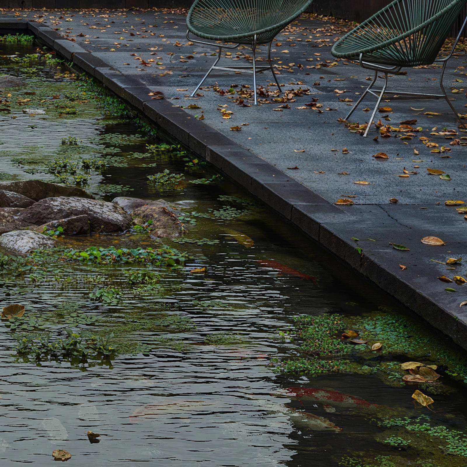 "In the Wood" - by Airstudio 2