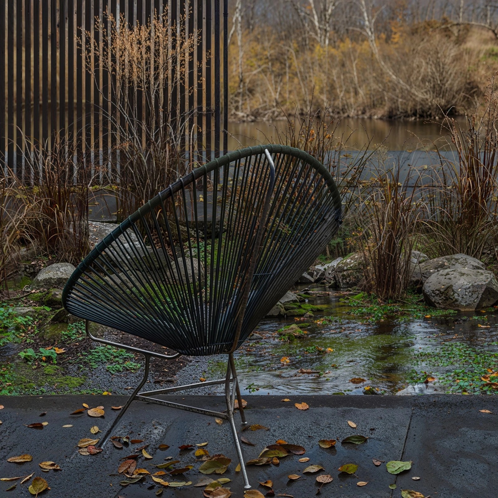 "In the Wood" - by Airstudio 1