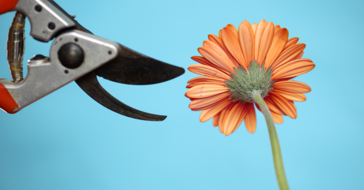 The Best Leaders Show Vulnerability — But Does That Advice Work for Women?