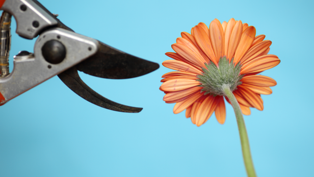 The Best Leaders Show Vulnerability — But Does That Advice Work for Women?