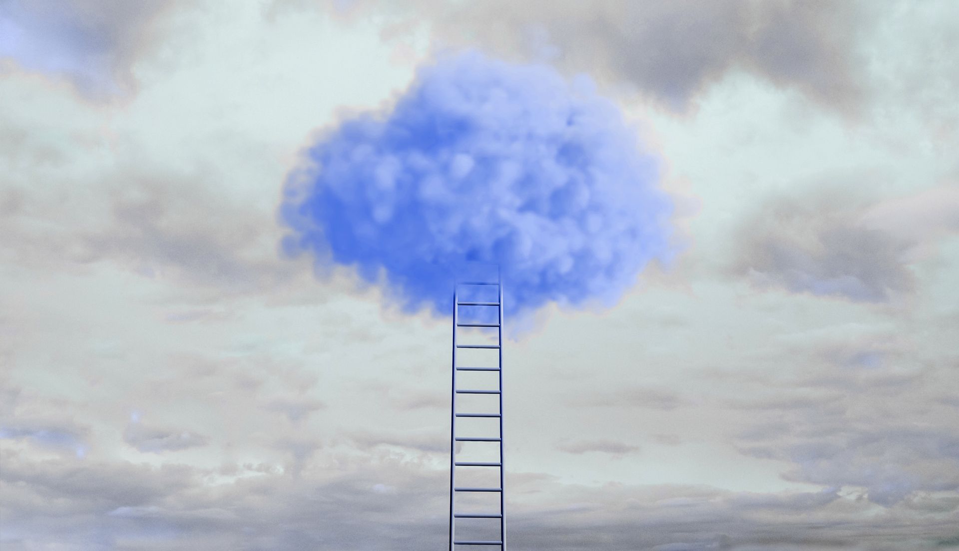 Ladder leading to cloud in sky representing drop off at senior executive levels