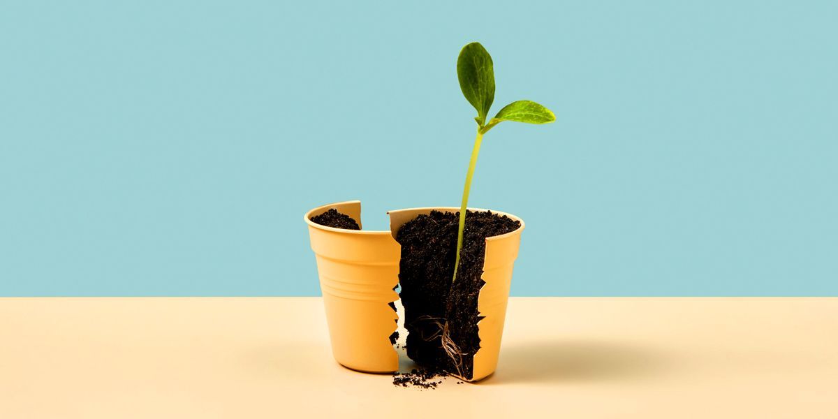 It’s Not a Crutch. How to Transform Your Anxiety Into a Leadership Superpower