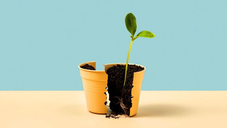 It’s Not a Crutch. How to Transform Your Anxiety Into a Leadership Superpower