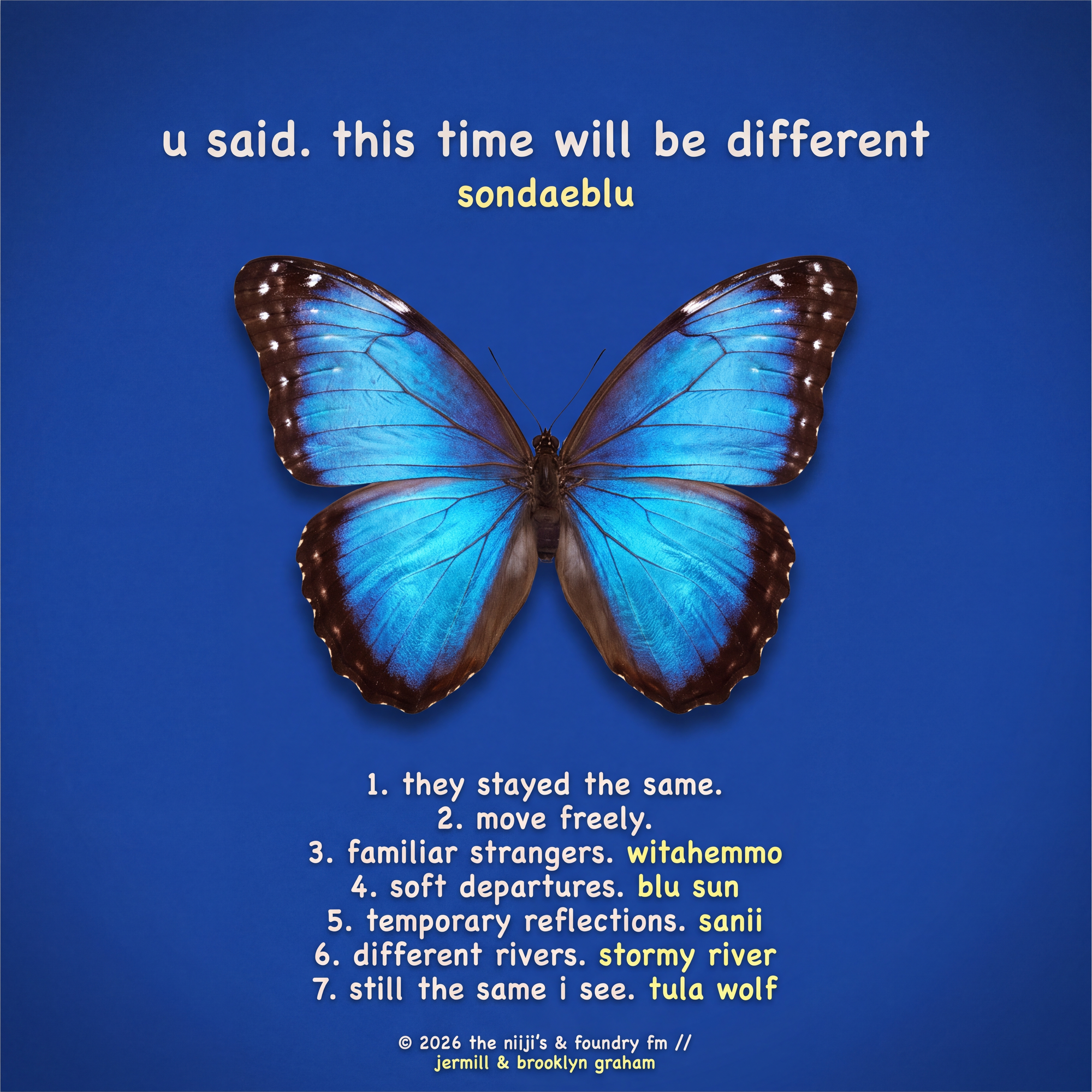 u said. this time will be different. — Vinyl LP - Photo 1