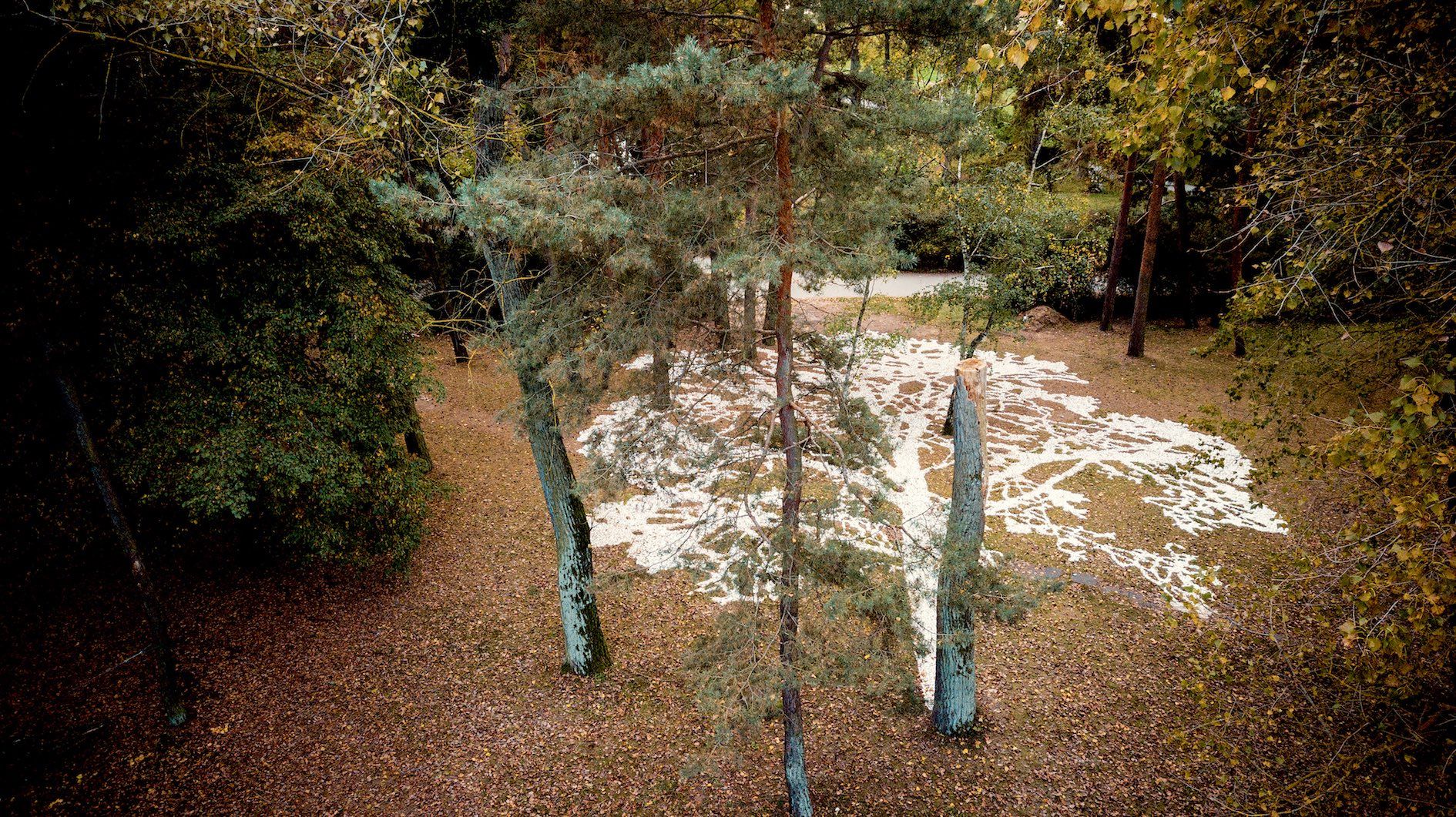 We Miss What We Miss at Poznań Visual Park, Strzeszynek, 2023 - Dominik Lejman exhibition