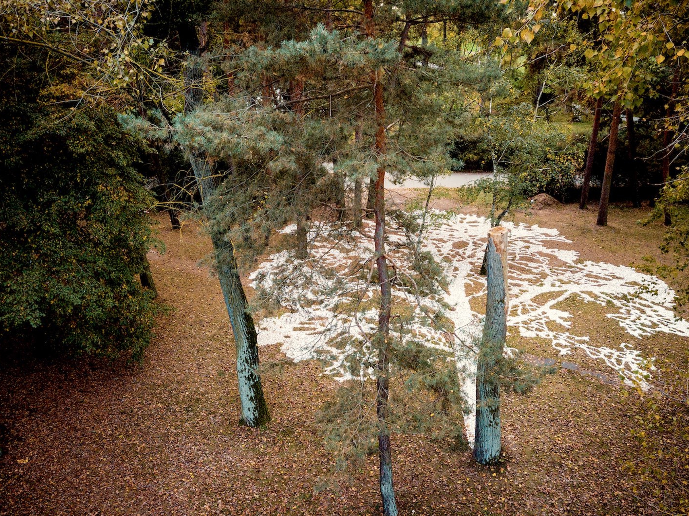 We Miss What We Miss at Poznań Visual Park, Strzeszynek, 2023 - Dominik Lejman exhibition