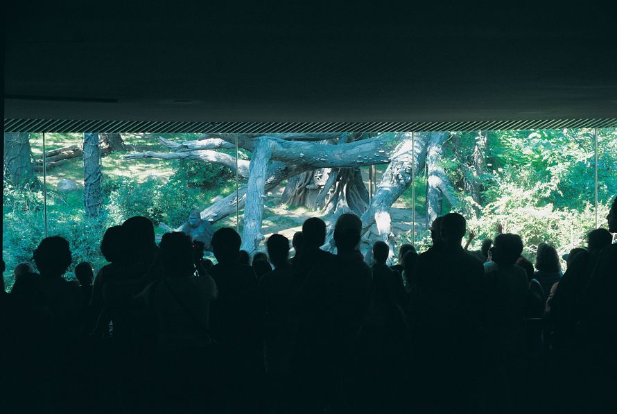 Natural History at Atlas Sztuki, 2007 - Dominik Lejman exhibition