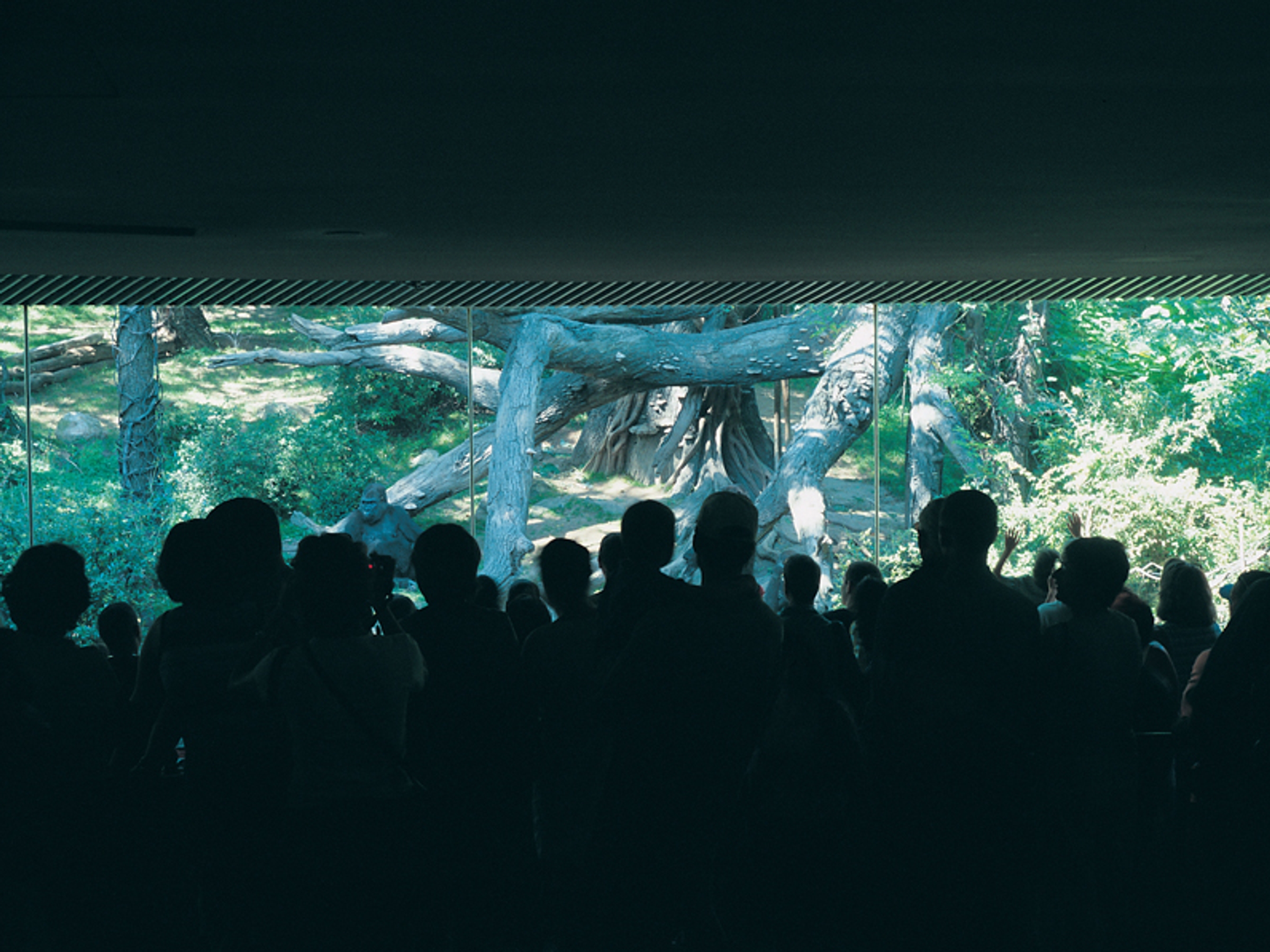Natural History at Atlas Sztuki, 2007 - Dominik Lejman exhibition