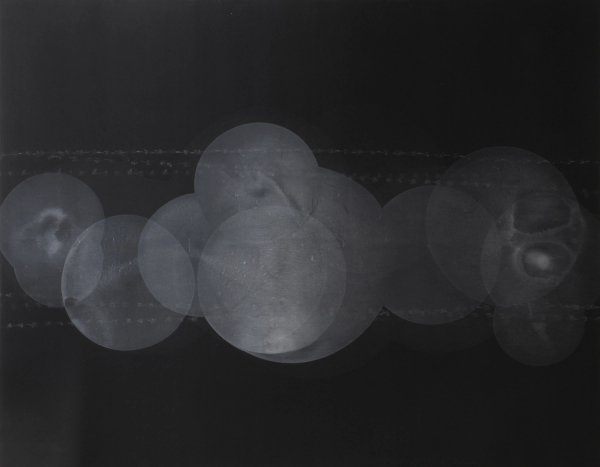 Black Dandelions by Dominik L.