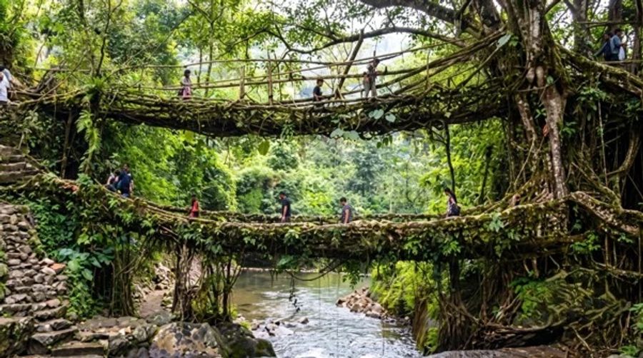 Double Decker Living Root Bridge in Nongriat, Meghalaya, one of the state's most iconic natural attractions.