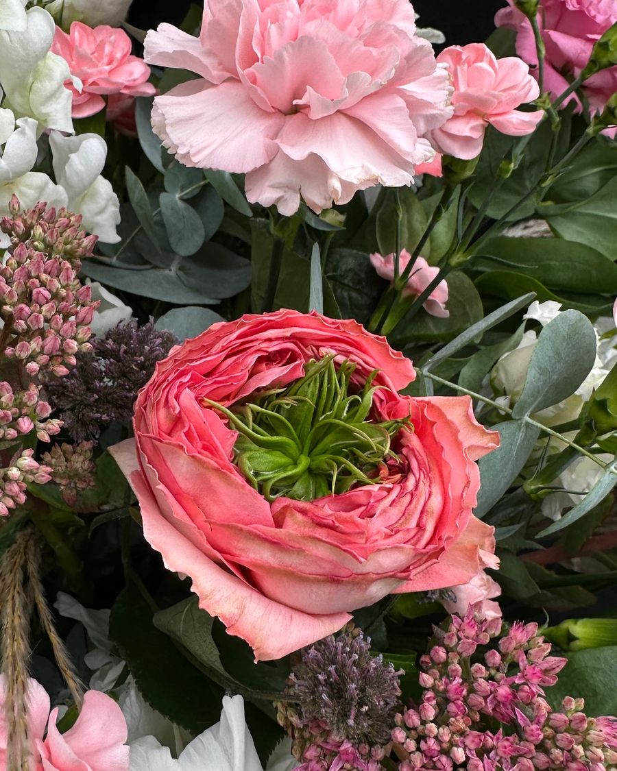 Flowerbox w pastelowym różu — ujęcie 2