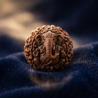 Ganesha's Grace (Ganesh)