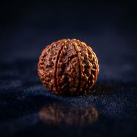 Rudraksha for Couple — 6 Mukhi