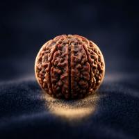Original 4 Mukhi