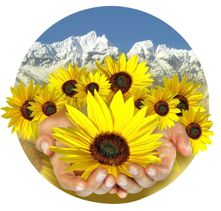 Imagen principal de Los Girasoles