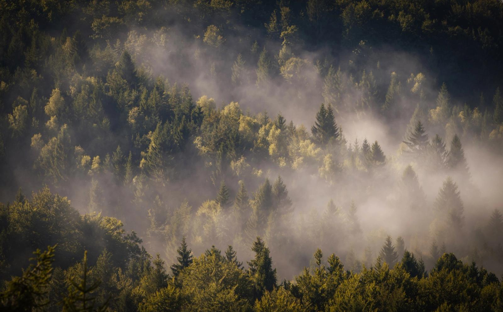 Saica Hut fog landscape