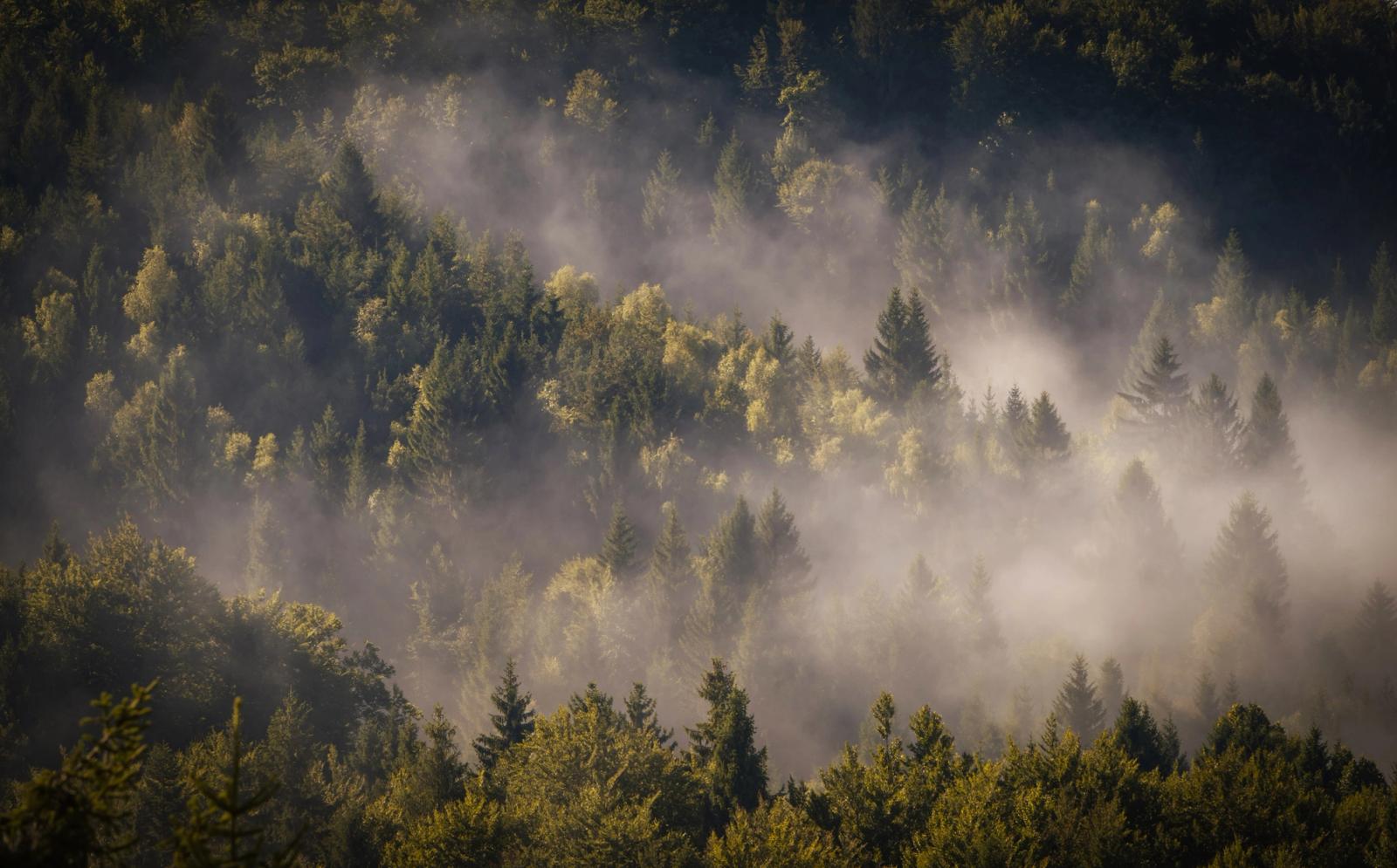 Saica Hut fog landscape