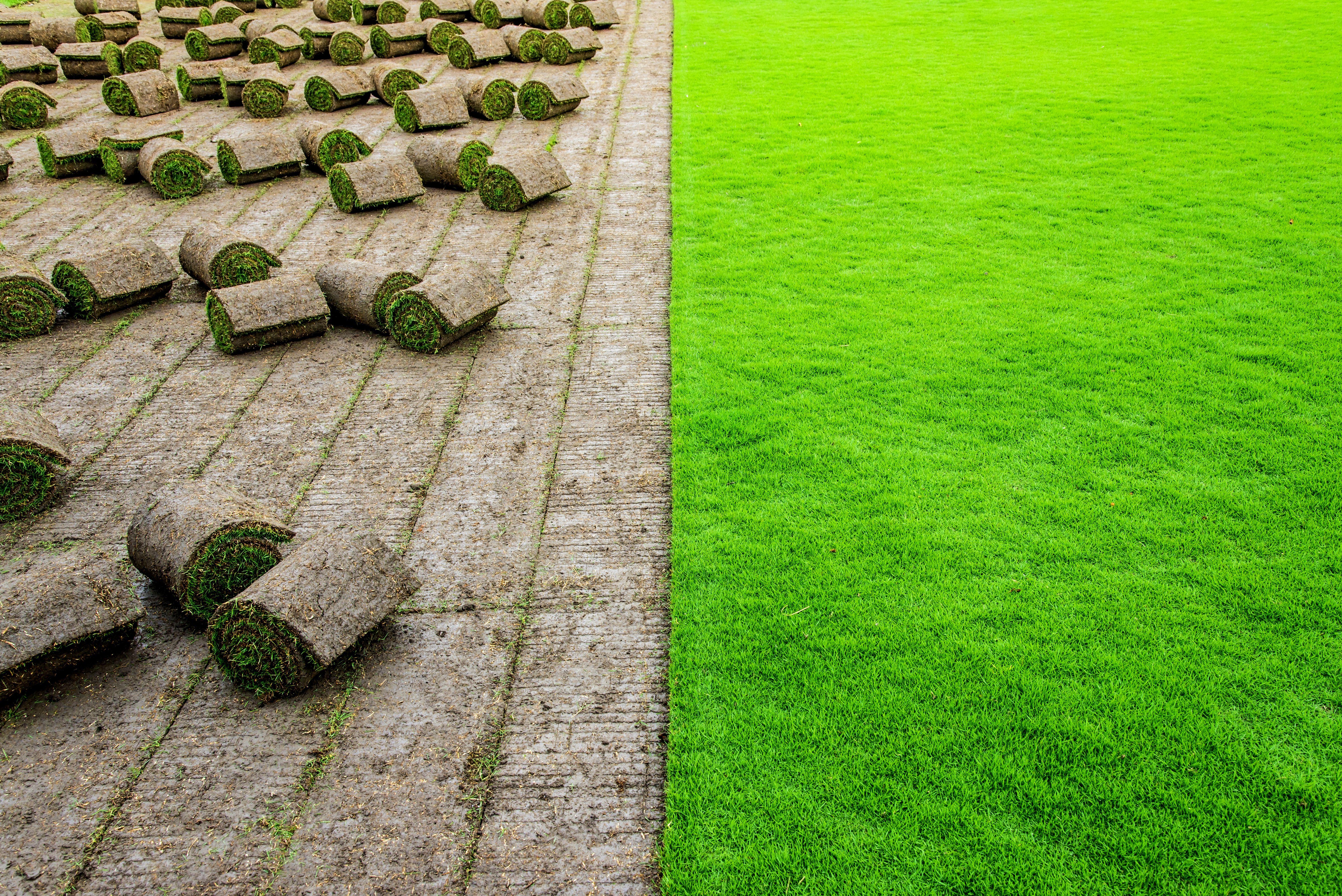 Nurmimattoja rullina ja viljeltyä siirtonurmea