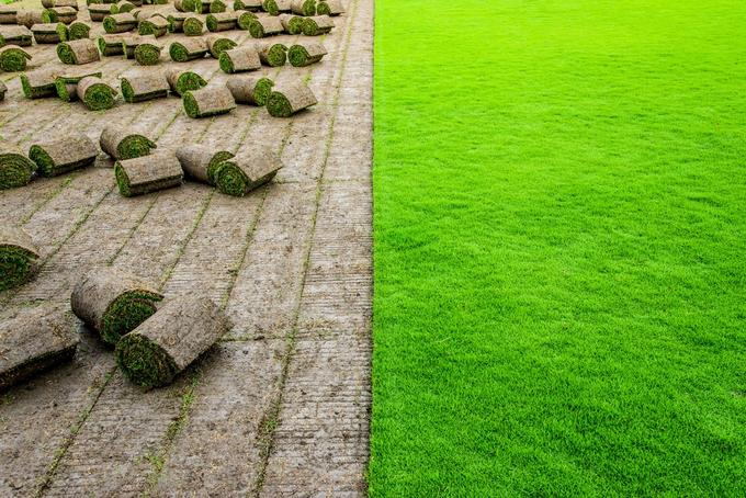 Nurmimattoja rullina ja viljeltyä siirtonurmea