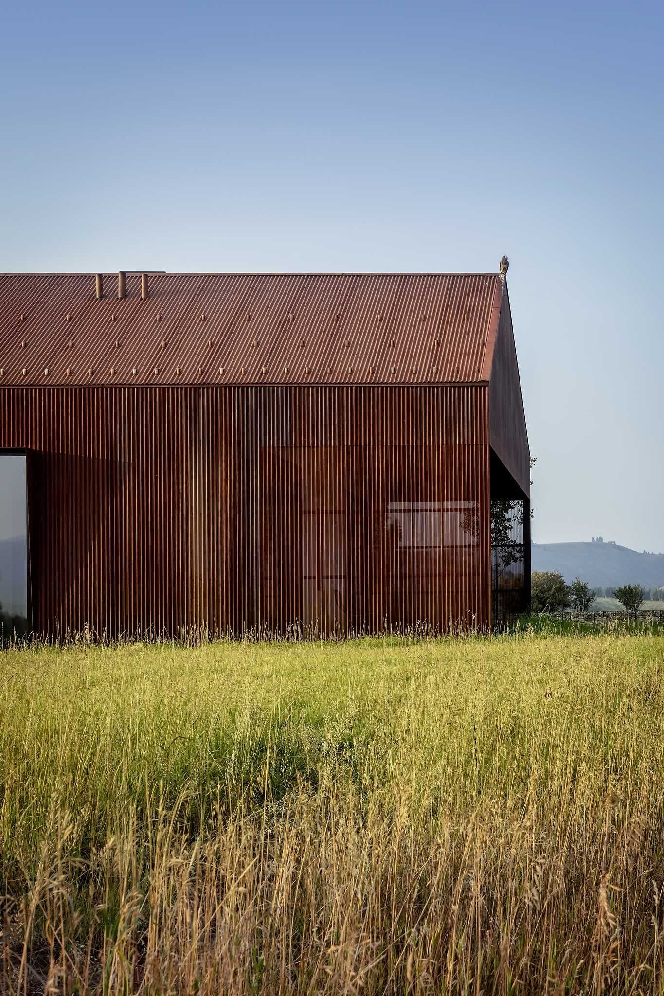 A modern, barn-shaped building with vertical corrugated Corten steel walls and a matching gabled roof stands prominently in a field of tall golden-green grass. A hawk is perched on the roof's highest point, with a clear blue sky above and a subtle distant hill in the background.