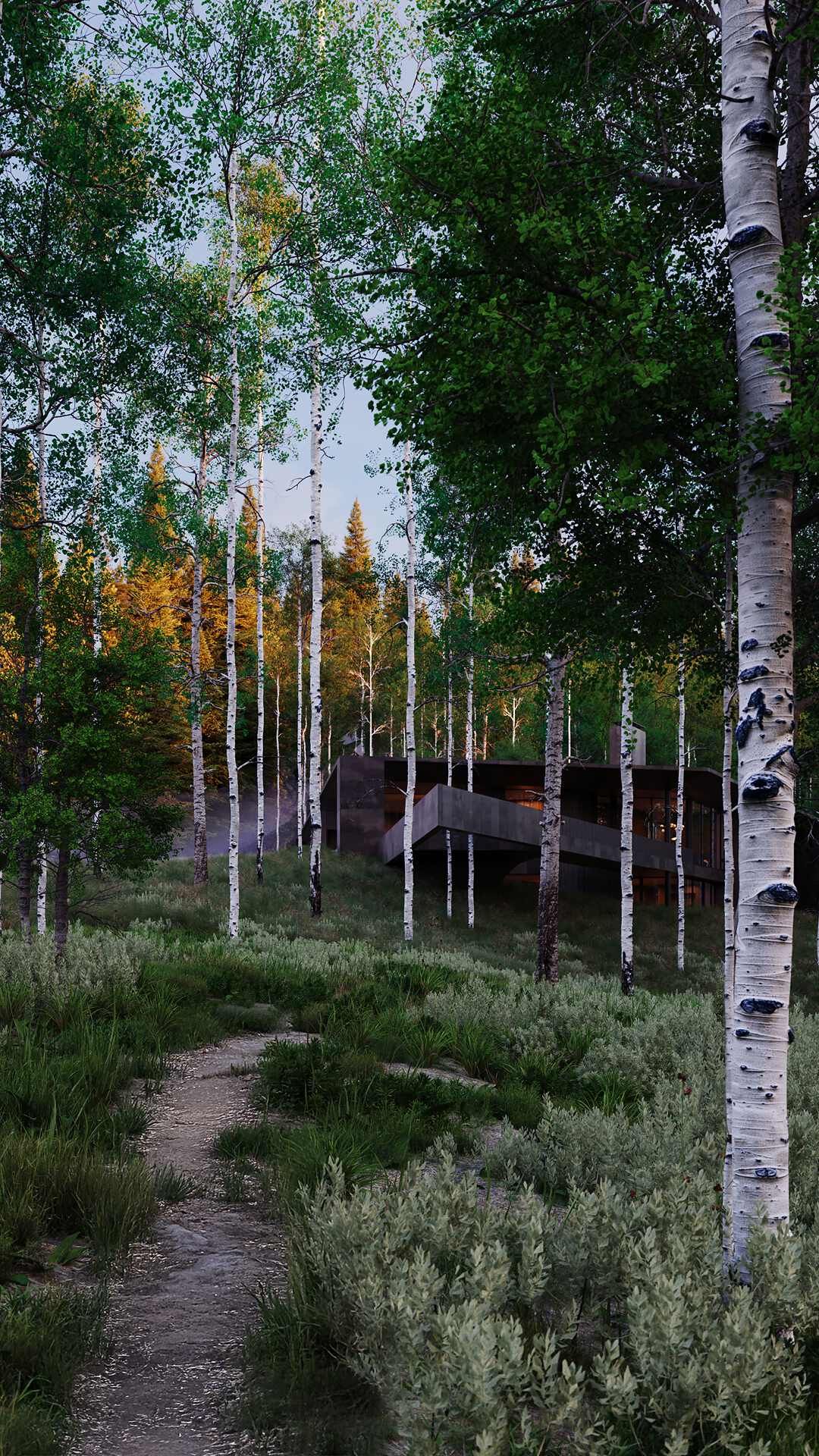 Modern dark house with concrete elements nestled into a vibrant aspen forest on a hillside. A winding dirt path leads through green undergrowth and silver-leafed shrubs in the foreground, illuminated by warm afternoon sunlight.