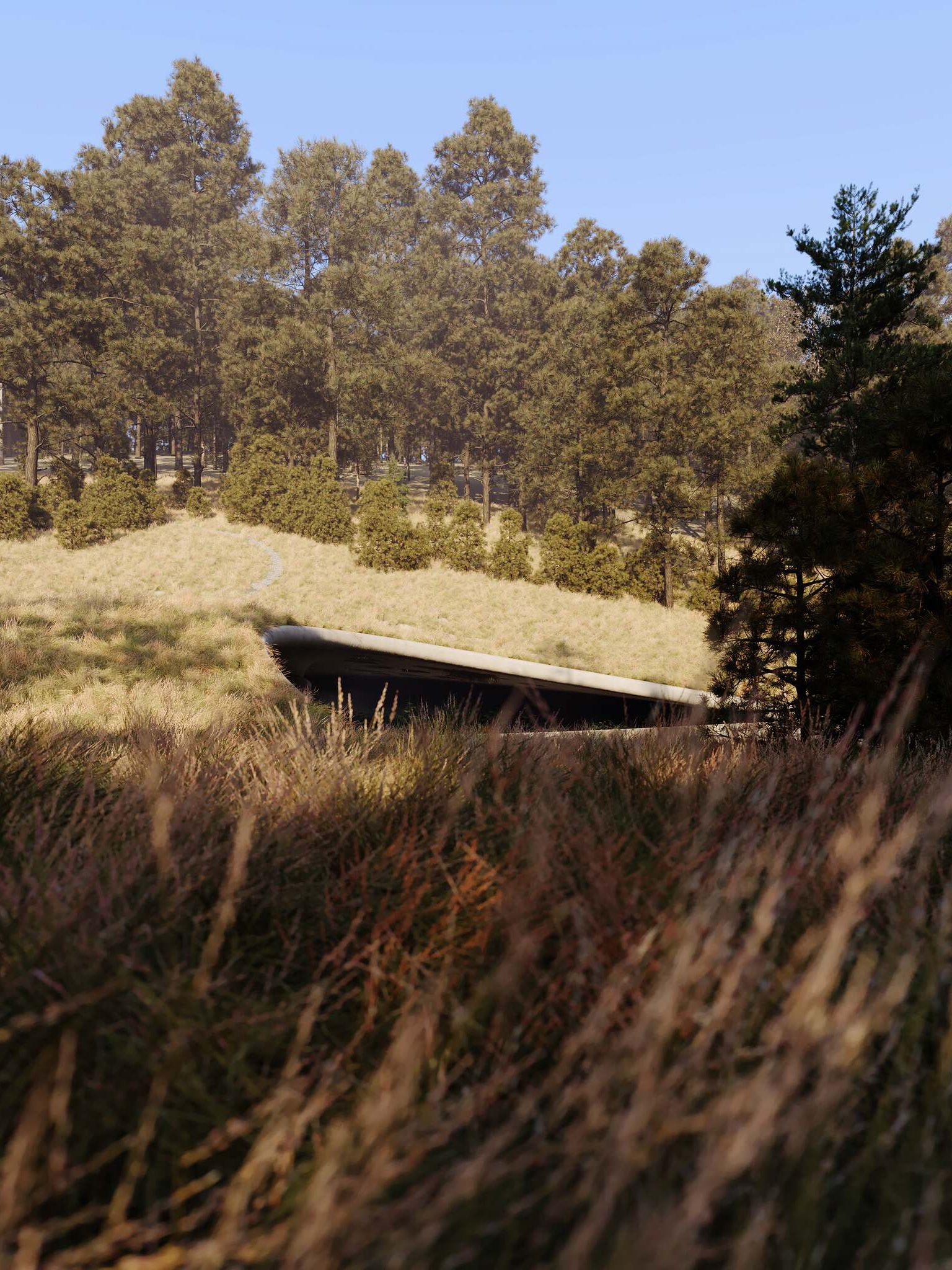 A modern, grass-roofed concrete entrance slopes into a golden grassy hillside. A winding path leads towards the structure, set against a dense pine forest under a clear blue sky, with blurred dry grass in the foreground.
