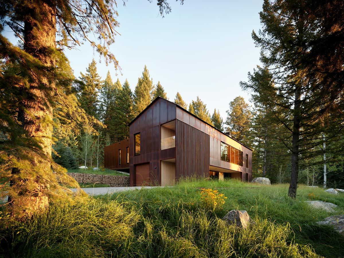 Modern, gabled home featuring a rustic Corten steel facade, nestled in a lush evergreen forest. Warm, late afternoon sunlight illuminates the tall grasses, yellow wildflowers, and large boulders in the foreground. A gabion retaining wall lines the driveway on the left.