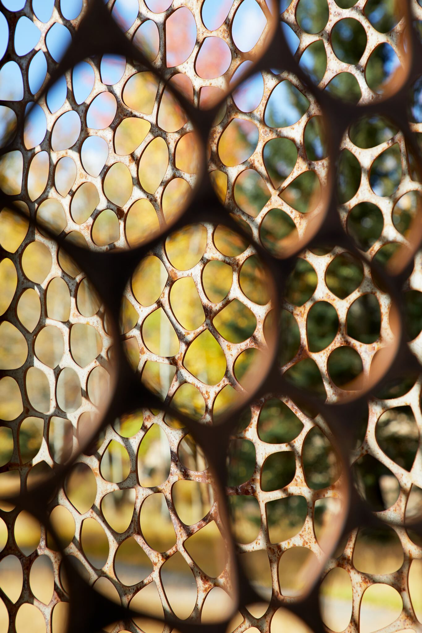 Close-up of a rusted metal screen with irregular, organic holes revealing a blurred background of blue sky, yellow autumn leaves, and green foliage.