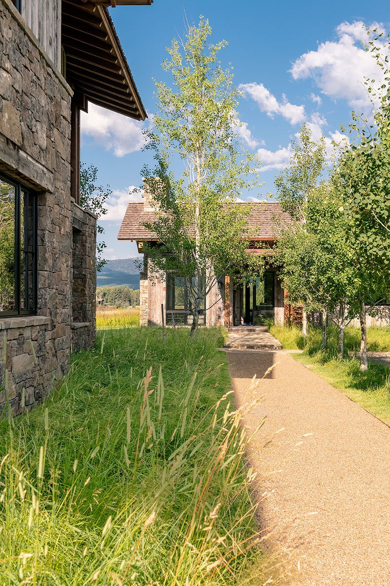 A gravel pathway cutting through tall wild grasses and young trees, leading toward a rustic stone and timber residential building under a blue sky.