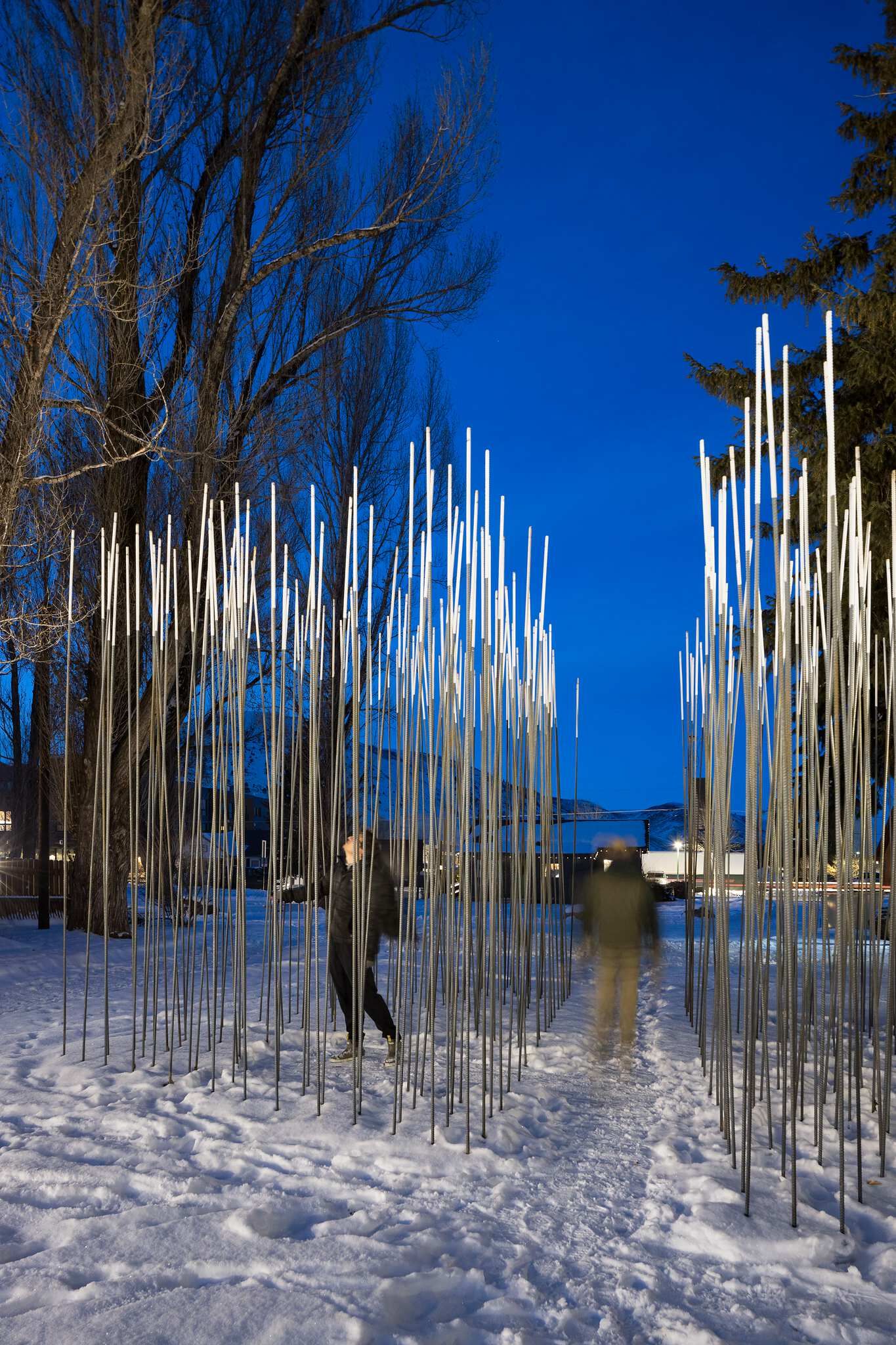 Illuminated art installation of vertical glowing poles forming a snowy pathway, with two figures (one motion-blurred) walking through it at twilight. Bare trees stand against a deep blue sky in the background.