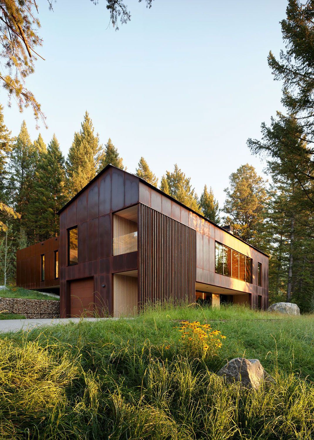 Modern, gabled home featuring a rustic Corten steel facade, nestled in a lush evergreen forest. Warm, late afternoon sunlight illuminates the tall grasses, yellow wildflowers, and large boulders in the foreground. A gabion retaining wall lines the driveway on the left.