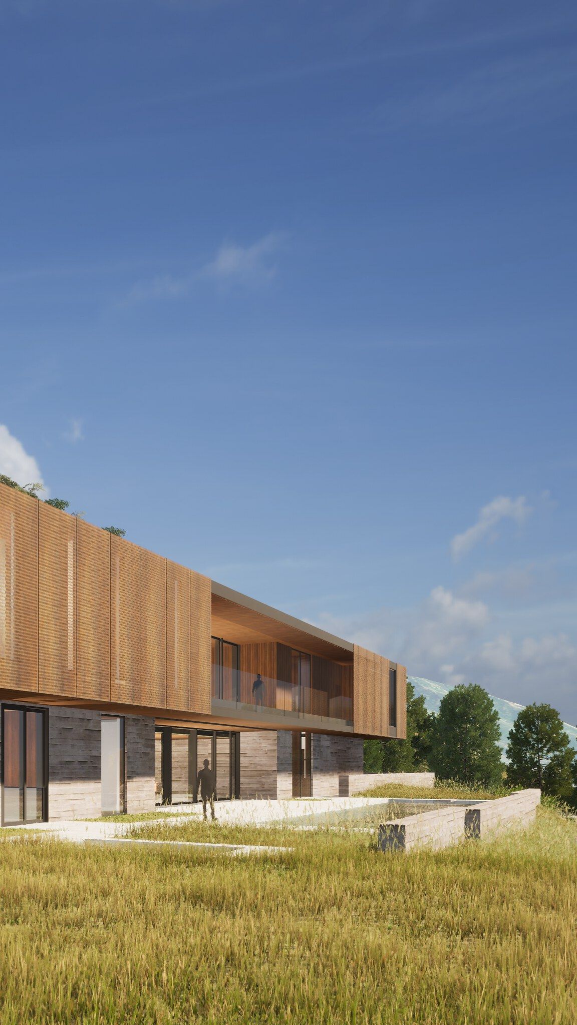 Contemporary house featuring a wood-slatted upper level and a stone lower level, with a glass balcony overlooking a tall golden grass field. Concrete pathways lead to the entrance, where a person stands, another on the balcony. Distant mountains and trees appear under a clear blue sky.