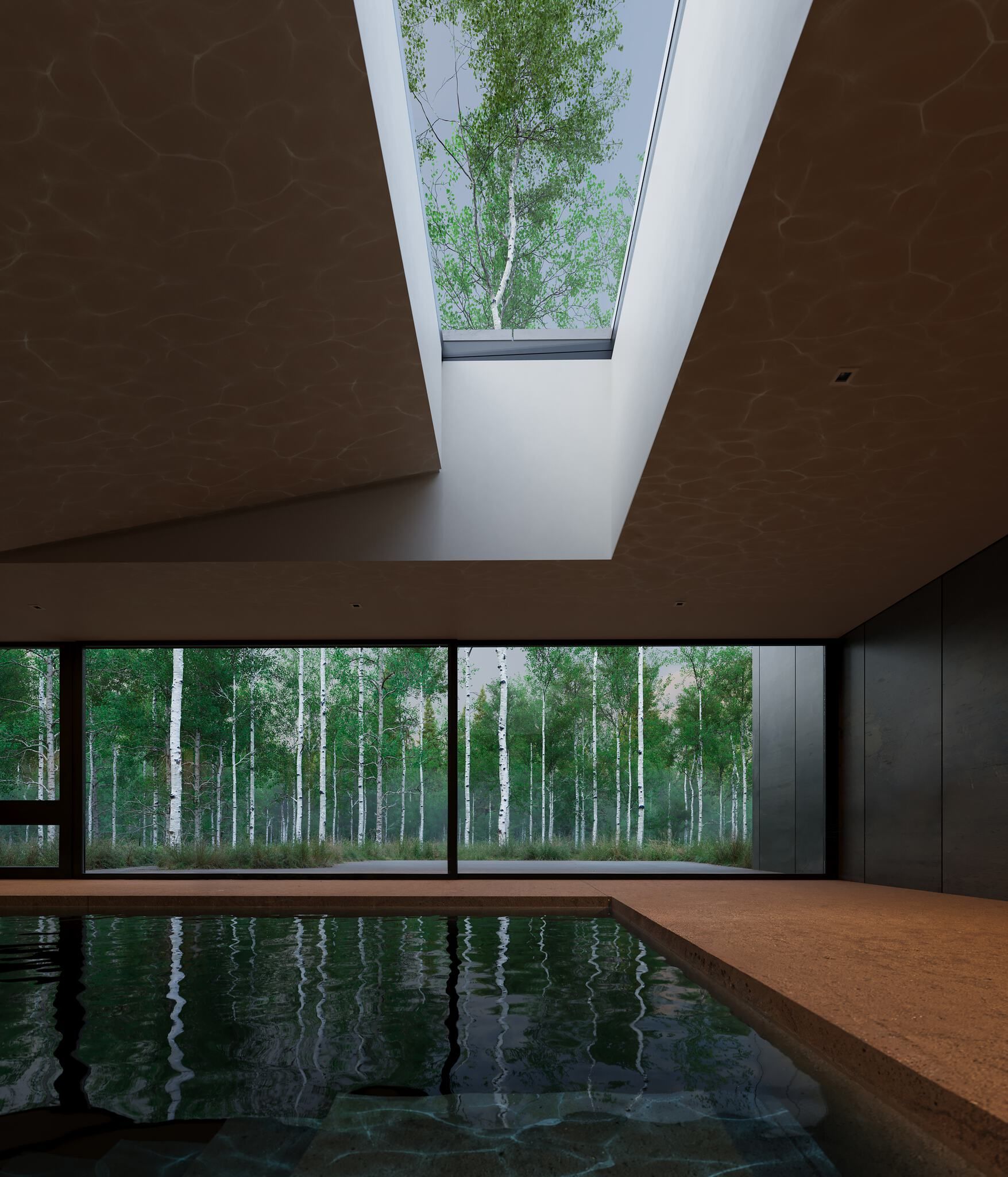 A contemporary indoor swimming pool bathed in natural light, featuring floor-to-ceiling windows that overlook a serene birch forest. A prominent rectangular skylight above reveals a tree canopy, while sunlight reflecting off the water creates shimmering caustic patterns across the textured brown ceiling.
