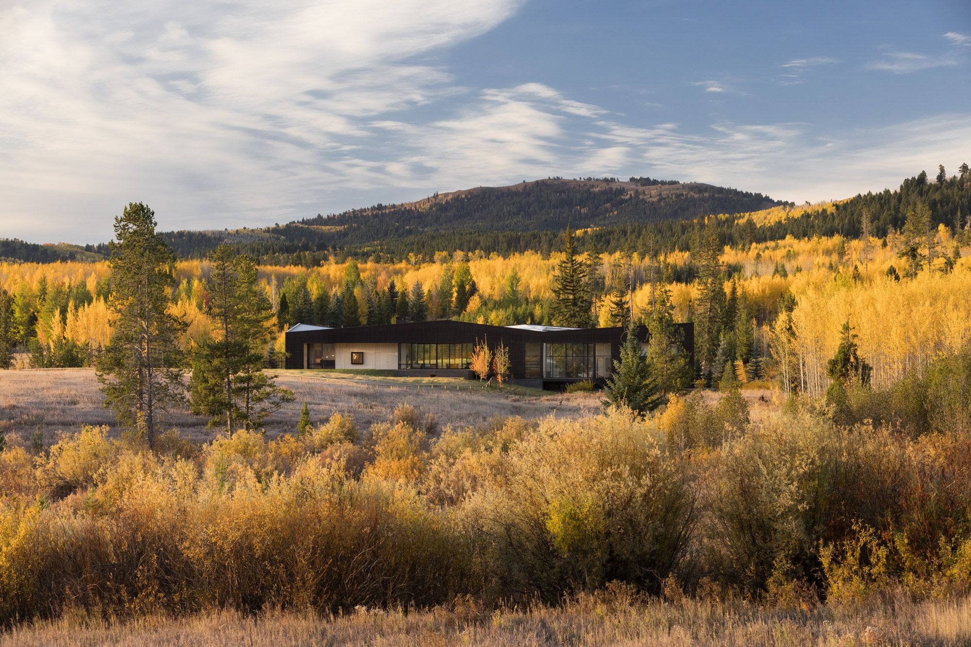 A contemporary dark-clad house with large windows nestled in a golden autumn landscape of fields and aspen forests, with a distant forested mountain under a partly cloudy sky.