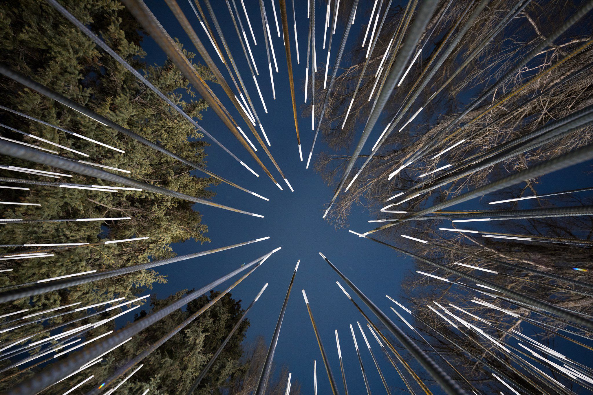 A low-angle view of an art installation featuring numerous steel rebar rods with glowing white tips, converging towards a deep blue twilight sky. Bare tree branches are visible at the top, and green evergreen trees are at the bottom.