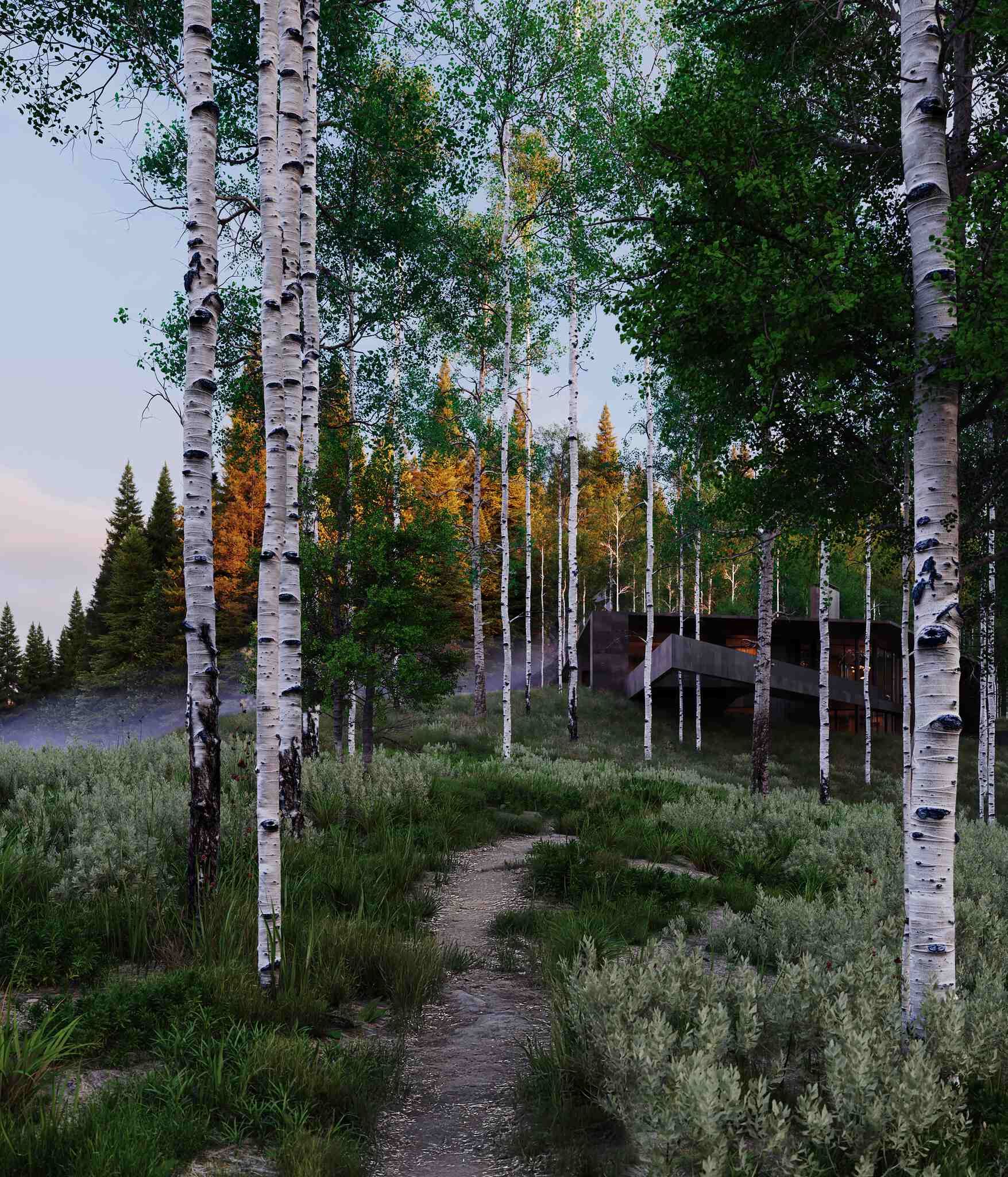 A winding dirt path leads through a lush forest of tall white birch trees and green undergrowth. A modern, dark-toned house is nestled among the trees in the mid-ground, with golden light highlighting distant trees and a subtle mist in the background.