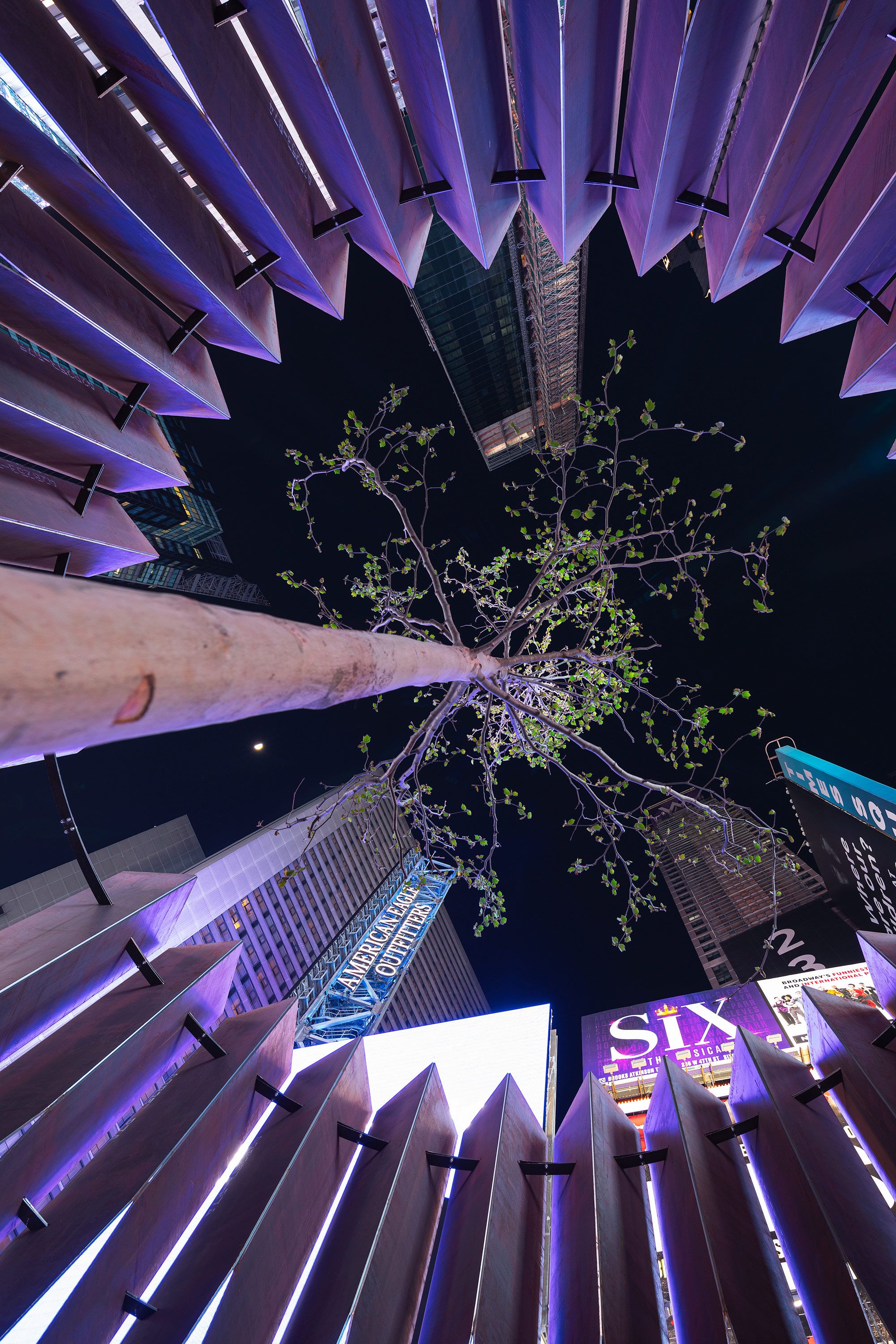 Worm's-eye view looking up a tree with green leaves in Times Square at night, framed by angular, purple-lit architectural panels. Tall buildings with bright billboards, including 'AMERICAN EAGLE OUTFITTERS' and 'SIX The Musical', rise into the dark sky with a visible crescent moon.