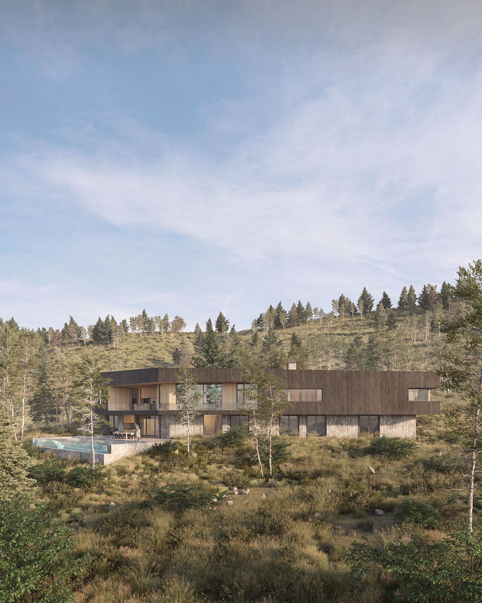 Modern architectural home with dark wood siding and concrete base, featuring an infinity pool on a patio, nestled into a wild, tree-covered hillside with tall grasses.