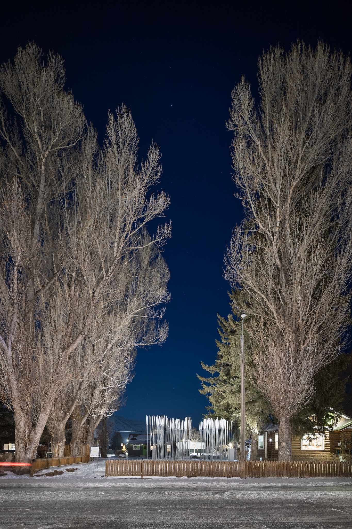 Illuminated art installation of vertical white poles on a snowy winter night, framed by towering bare trees. A street light, log cabin, and distant mountains are visible under a dark sky.