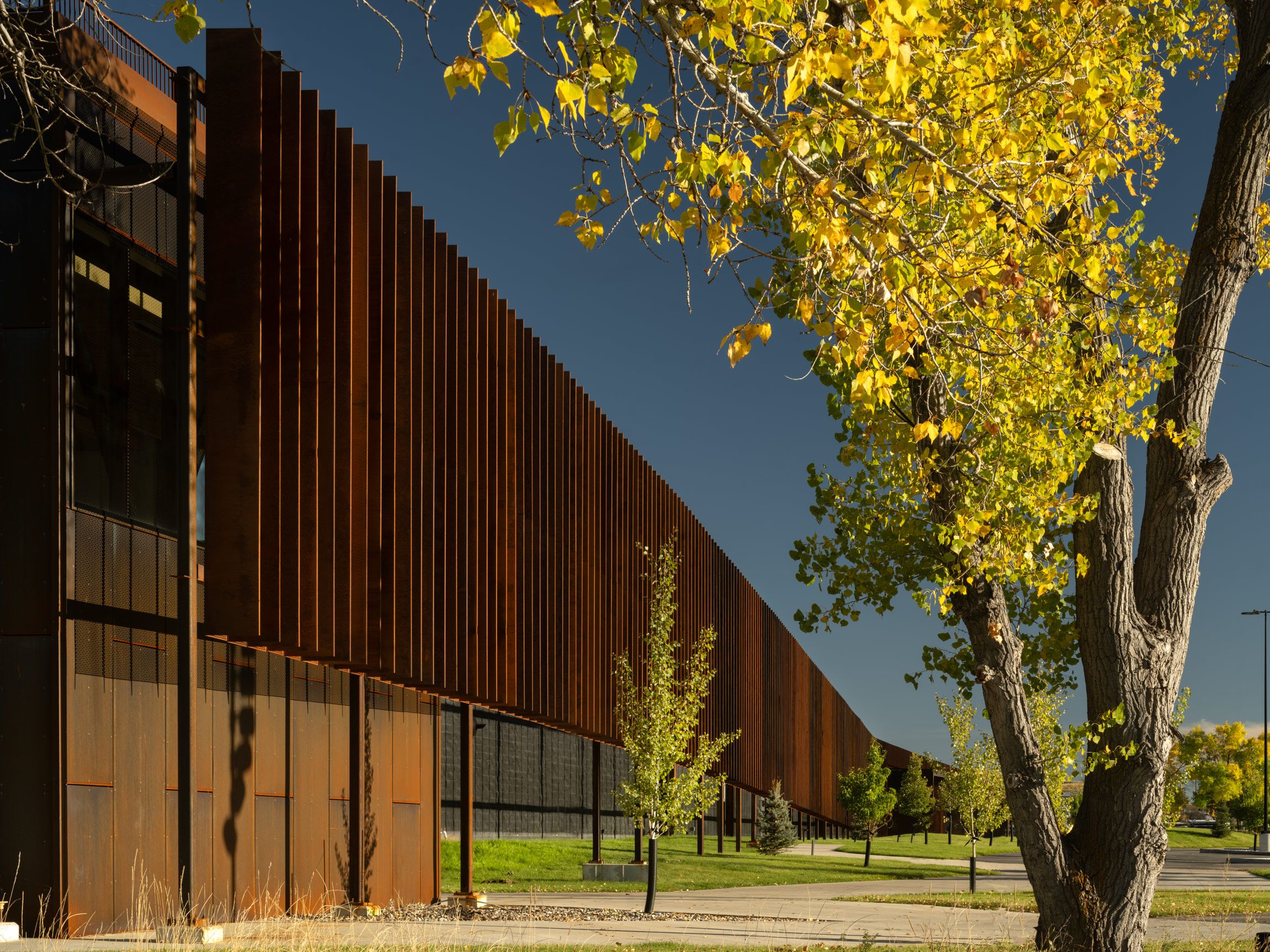 Modern building with a rusted Corten steel facade featuring vertical slats, alongside a prominent tree displaying vibrant yellow autumn leaves under a clear blue sky.