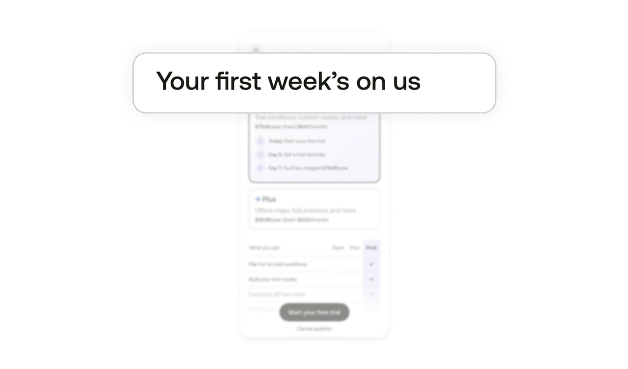 Headline removes friction before pricing appears